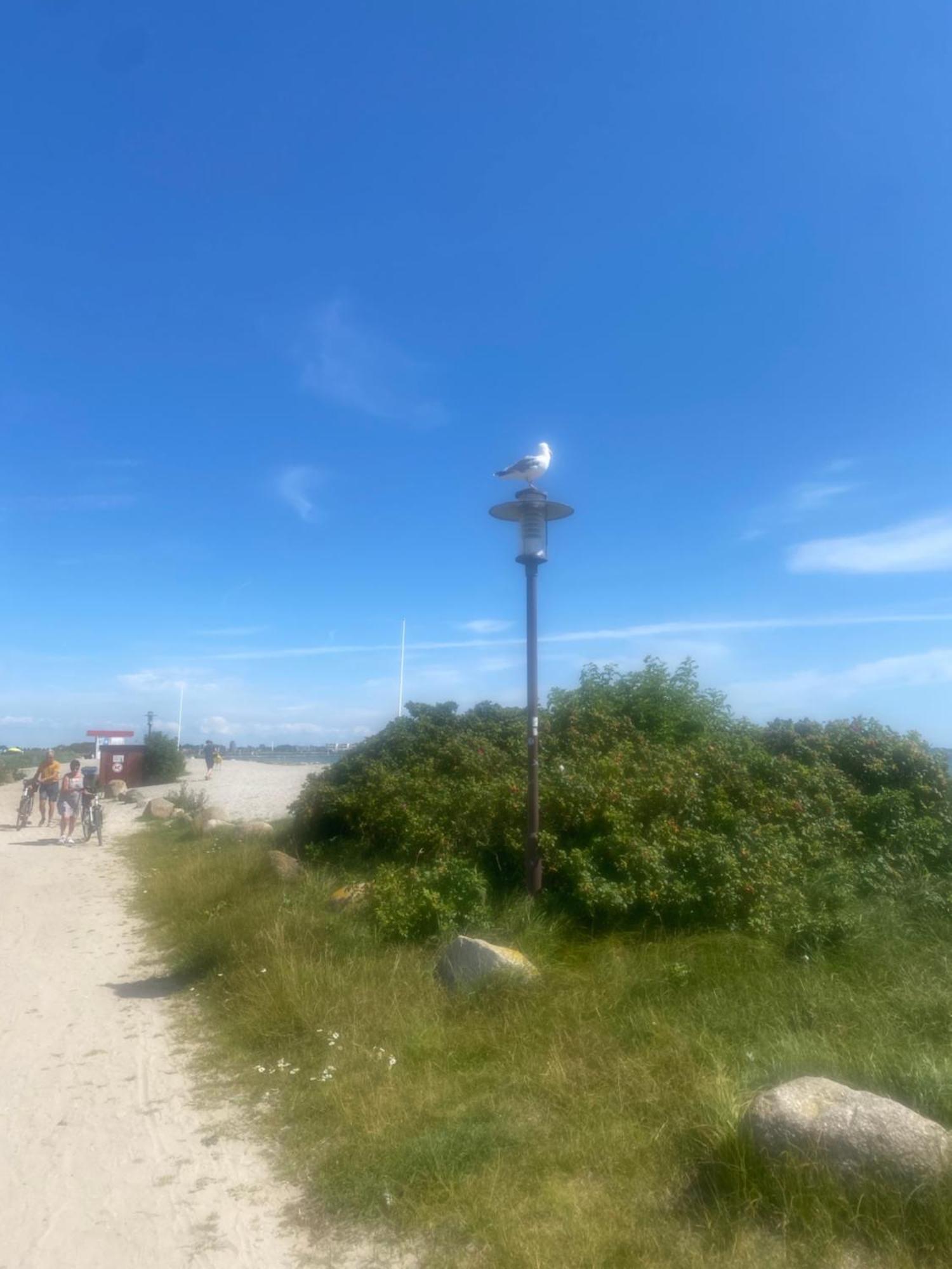 Wohnwagen Auf Dem Wulfenerhals Ca 150M Bis Zum Meer Fehmarn Zewnętrze zdjęcie